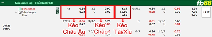 Fb88 bảng kèo trận đấu Fenerbahce vs Istanbulspor