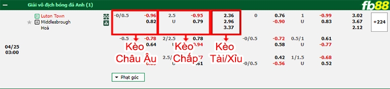 Fb88 bảng kèo trận đấu Luton vs Middlesbrough