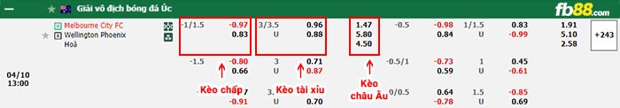 fb88-bảng kèo trận đấu Melbourne City vs Wellington Phoenix