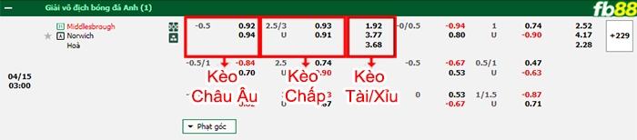 Fb88 bảng kèo trận đấu Middlesbrough vs Norwich