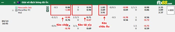 fb88-bảng kèo trận đấu Newcastle Jets vs Macarthur