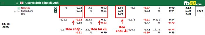 fb88-bảng kèo trận đấu Norwich vs Rotherham