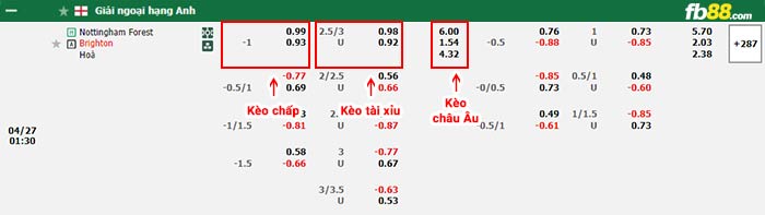 fb88-bảng kèo trận đấu Nottingham vs Brighton