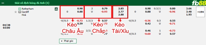 Fb88 bảng kèo trận đấu Rotherham vs Cardiff
