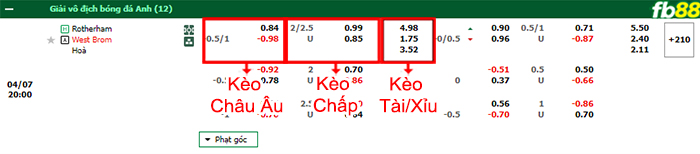 Fb88 bảng kèo trận đấu Rotherham vs West Brom