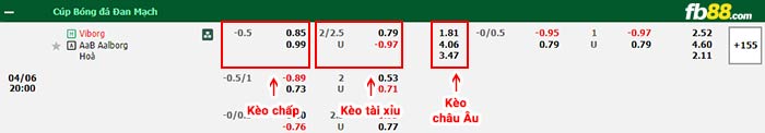 fb88-bảng kèo trận đấu Viborg vs Aalborg