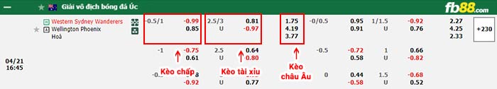 fb88-bảng kèo trận đấu Western Sydney vs Wellington Phoenix