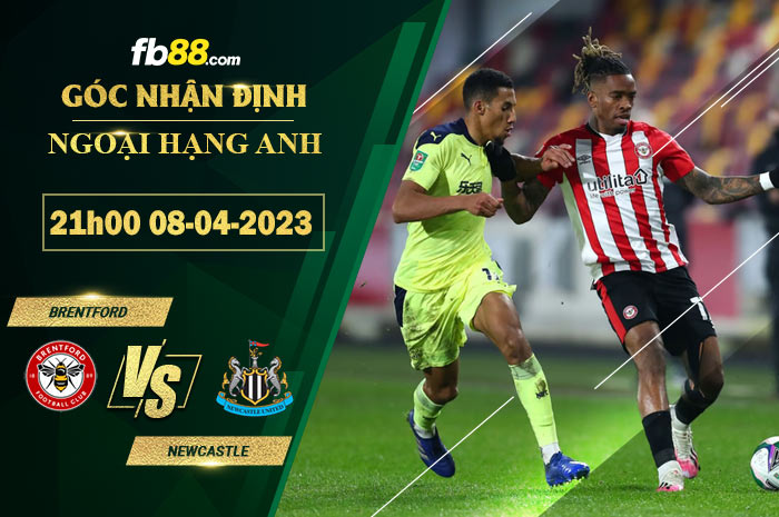 Fb88 soi kèo trận đấu Brentford vs Newcastle