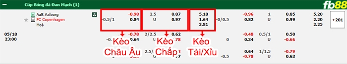 Fb88 bảng kèo trận đấu Aalborg vs Copenhagen