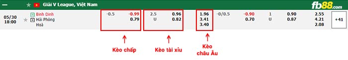 fb88-bảng kèo trận đấu Binh Dinh vs Hai Phong