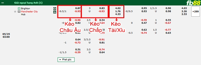 Fb88 bảng kèo trận đấu Brighton vs Man City