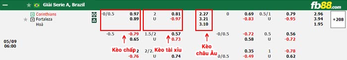 fb88-bảng kèo trận đấu Corinthians vs Fortaleza