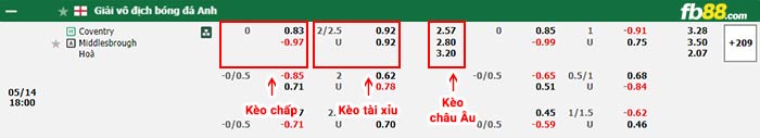 fb88-bảng kèo trận đấu Coventry vs Middlesbrough