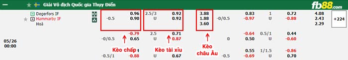 fb88-bảng kèo trận đấu Degerfors vs Hammarby