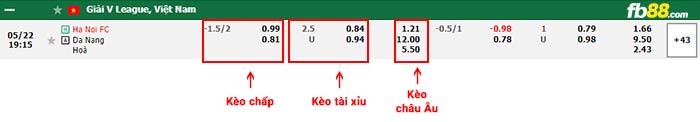 fb88-bảng kèo trận đấu Ha Noi vs Da Nang