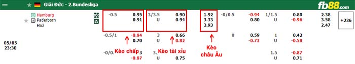 fb88-bảng kèo trận đấu Hamburger vs Paderborn