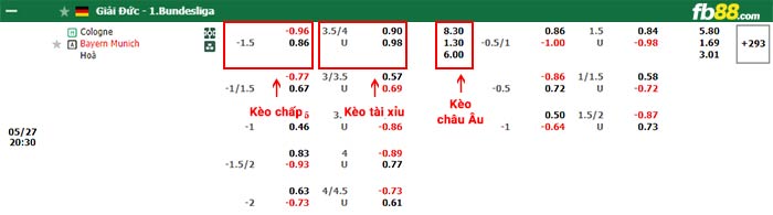 fb88-bảng kèo trận đấu Koln vs Bayern Munich