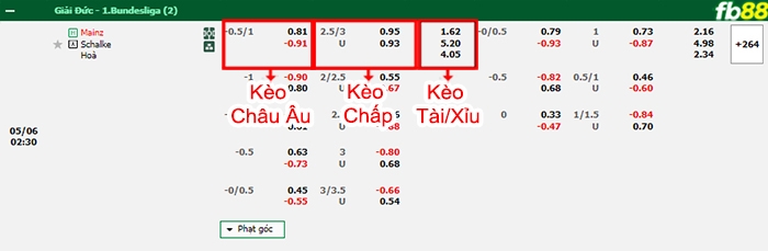 Fb88 bảng kèo trận đấu Mainz vs Schalke