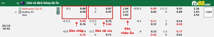 fb88-bảng kèo trận đấu Melbourne City vs Sydney FC