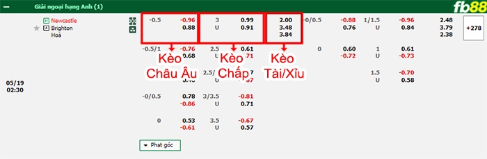 Fb88 bảng kèo trận đấu Newcastle vs Brighton