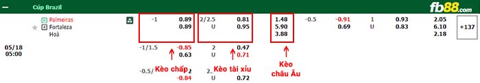 fb88-bảng kèo trận đấu Palmeiras vs Fortaleza