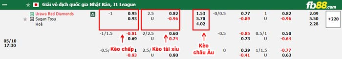 fb88-bảng kèo trận đấu Urawa Reds vs Sagan Tosu