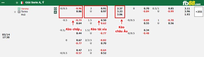 fb88-bảng kèo trận đấu Verona vs Torino