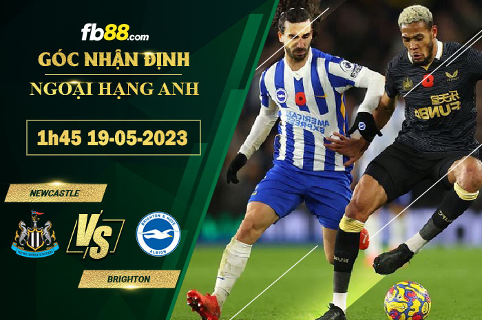 Fb88 soi kèo trận đấu Newcastle vs Brighton