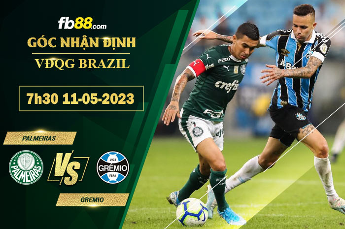 Fb88 soi kèo trận đấu Palmeiras vs Gremio