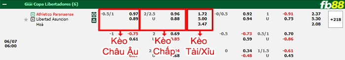 Fb88 bảng kèo trận đấu Atletico Paranaense vs Libertad