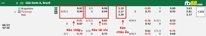 fb88-bảng kèo trận đấu Bragantino vs Flamengo