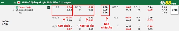 fb88-bảng kèo trận đấu Cerezo Osaka vs Avispa Fukuoka