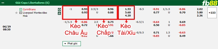 Fb88 bảng kèo trận đấu Corinthians vs Liverpool Montevideo