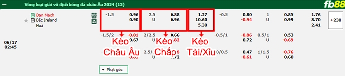 Fb88 bảng kèo trận đấu Đan Mạch vs Bắc Ailen