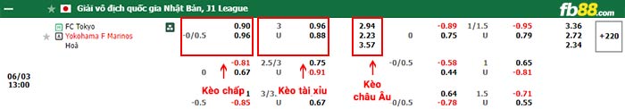 fb88-bảng kèo trận đấu FC Tokyo vs Yokohama F Marinos