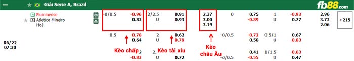 fb88-bảng kèo trận đấu Fluminense vs Atletico Mineiro