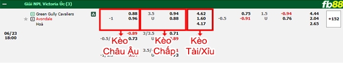 Fb88 bảng kèo trận đấu Green Gully vs Avondale