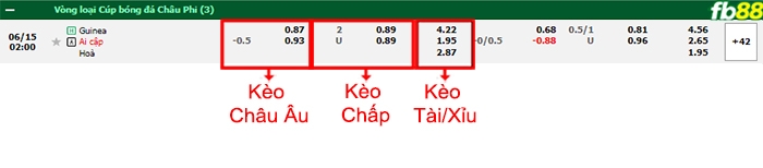 Fb88 bảng kèo trận đấu Guinea vs Ai Cập