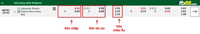 fb88-bảng kèo trận đấu Lokomotiv Plovdiv vs Cherno More Varna