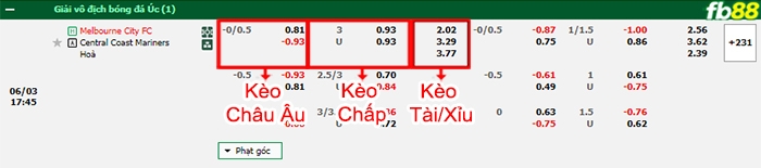 Fb88 bảng kèo trận đấu Melbourne City vs Central Coast