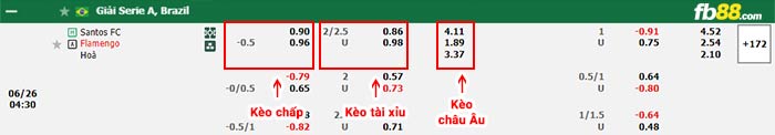 fb88-bảng kèo trận đấu Santos vs Flamengo