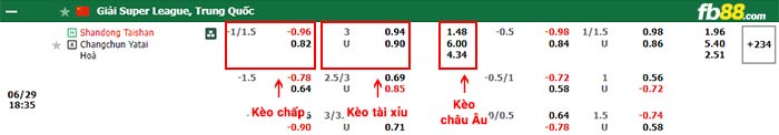 fb88-bảng kèo trận đấu Shandong Taishan vs Changchun YaTai