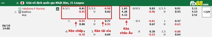 fb88-bảng kèo trận đấu Yokohama F Marinos vs Kashiwa Reysol