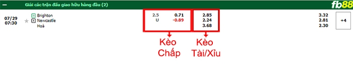 Fb88 bảng kèo trận đấu Brighton vs Newcastle