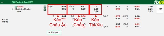 Fb88 bảng kèo trận đấu Gremio vs Atletico Mineiro
