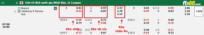 fb88-bảng kèo trận đấu Nagoya Grampus vs Yokohama F Marinos