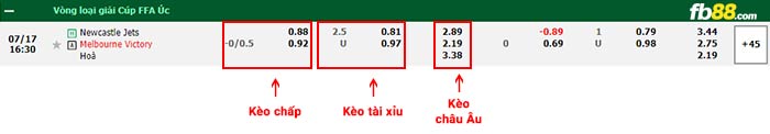 fb88-bảng kèo trận đấu Newcastle Jets vs Melbourne Victory