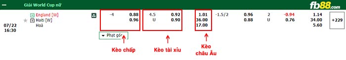 fb88-bảng kèo trận đấu Nu Anh vs Nu Haiti