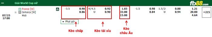 fb88-bảng kèo trận đấu Nu Phap vs Nu Jamaica