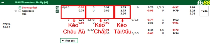 Fb88 bảng kèo trận đấu Stromsgodset vs Rosenborg
